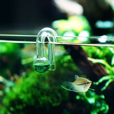 greenworks co1 drop checker - akasztos_2